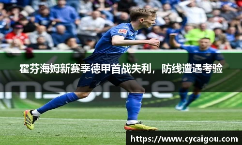 霍芬海姆新赛季德甲首战失利，防线遭遇考验