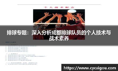 排球专题：深入分析成都排球队员的个人技术与战术素养