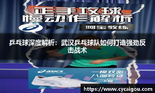 乒乓球深度解析：武汉乒乓球队如何打造强劲反击战术
