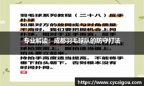 专业解读：成都羽毛球队的防守打法
