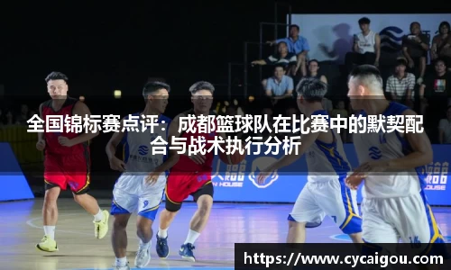 全国锦标赛点评：成都篮球队在比赛中的默契配合与战术执行分析