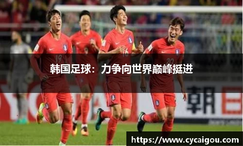 韩国足球：力争向世界巅峰挺进