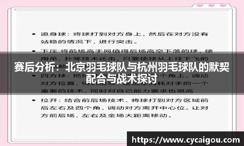赛后分析：北京羽毛球队与杭州羽毛球队的默契配合与战术探讨