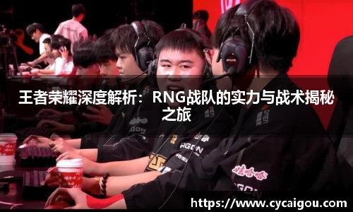 王者荣耀深度解析：RNG战队的实力与战术揭秘之旅