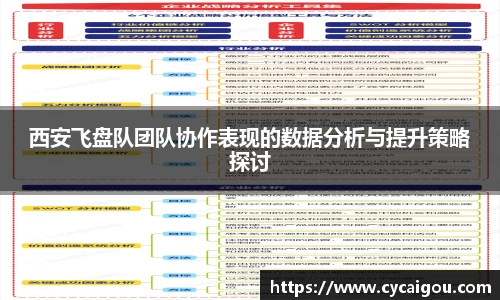 西安飞盘队团队协作表现的数据分析与提升策略探讨
