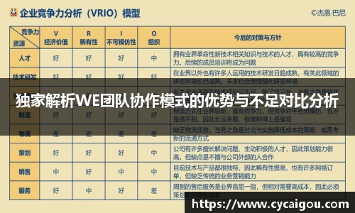 独家解析WE团队协作模式的优势与不足对比分析