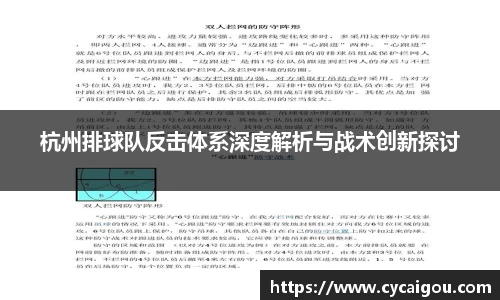 杭州排球队反击体系深度解析与战术创新探讨