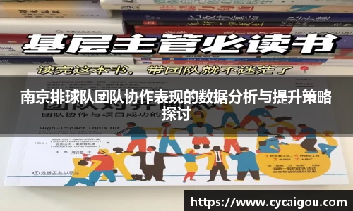 南京排球队团队协作表现的数据分析与提升策略探讨