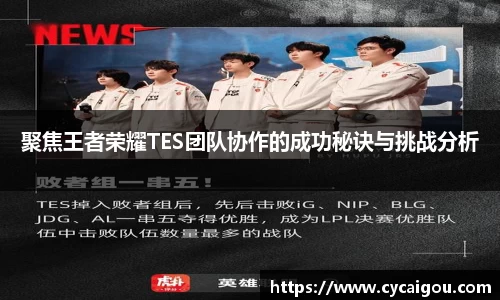 聚焦王者荣耀TES团队协作的成功秘诀与挑战分析