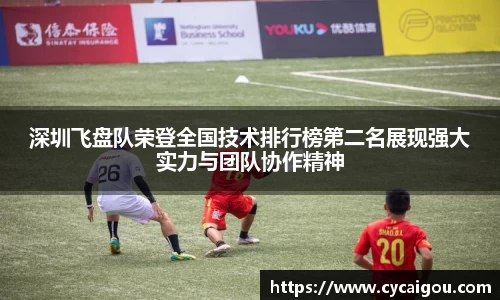 深圳飞盘队荣登全国技术排行榜第二名展现强大实力与团队协作精神