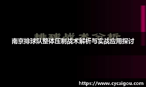 南京排球队整体压制战术解析与实战应用探讨