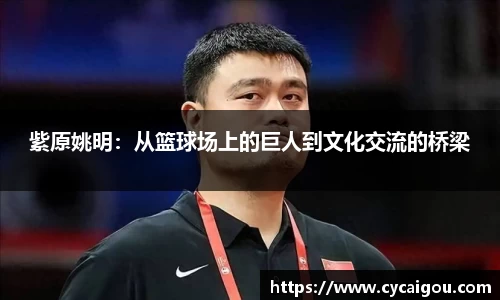 紫原姚明：从篮球场上的巨人到文化交流的桥梁